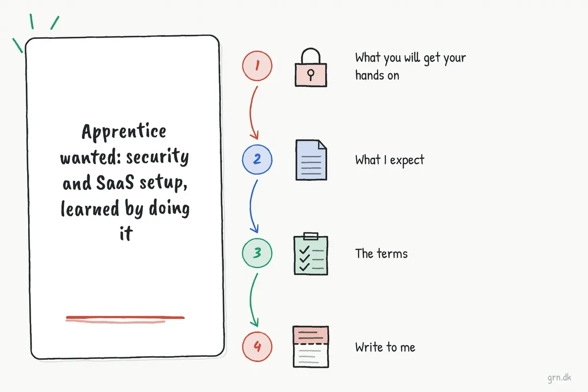 Illustrated infographic summarizing: Apprentice wanted: security and SaaS setup, learned by doing it