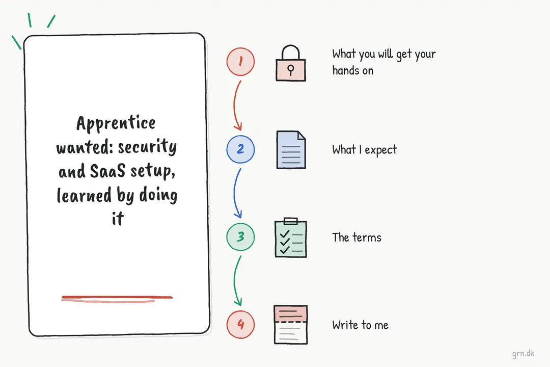Illustrated infographic summarizing: Apprentice wanted: security and SaaS setup, learned by doing it
