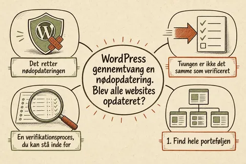 Illustreret infografik, der opsummerer: WordPress gennemtvang en nødopdatering. Blev alle websites opdateret?
