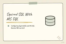 Illustrated infographic summarizing: Squirrel SQL With MS SQL