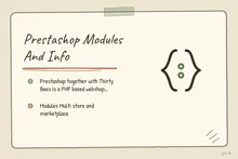 Illustrated infographic summarizing: Prestashop Modules And Info