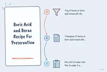 Illustrated infographic summarizing: Boric Acid and Borax Recipe For Preservation