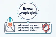 Illustrated infographic summarizing: Remove whoopsie-upload
