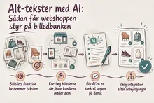 Illustreret infografik, der opsummerer: Alt-tekster med AI: Sådan får webshoppen styr på billedbunken