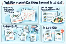 Illustreret infografik, der opsummerer: Opskriften er ændret: Kan AI finde de menukort, der skal rettes?